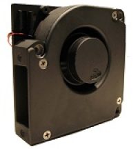 trimline_and_half_trimline